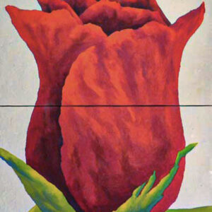 ROSE MOUSSEUSE. 125X62. Mista su tavola